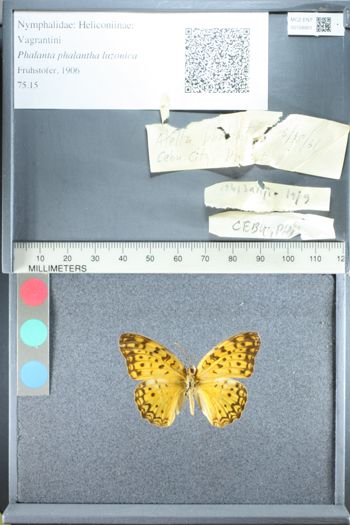 Media type: image;   Entomology 158901